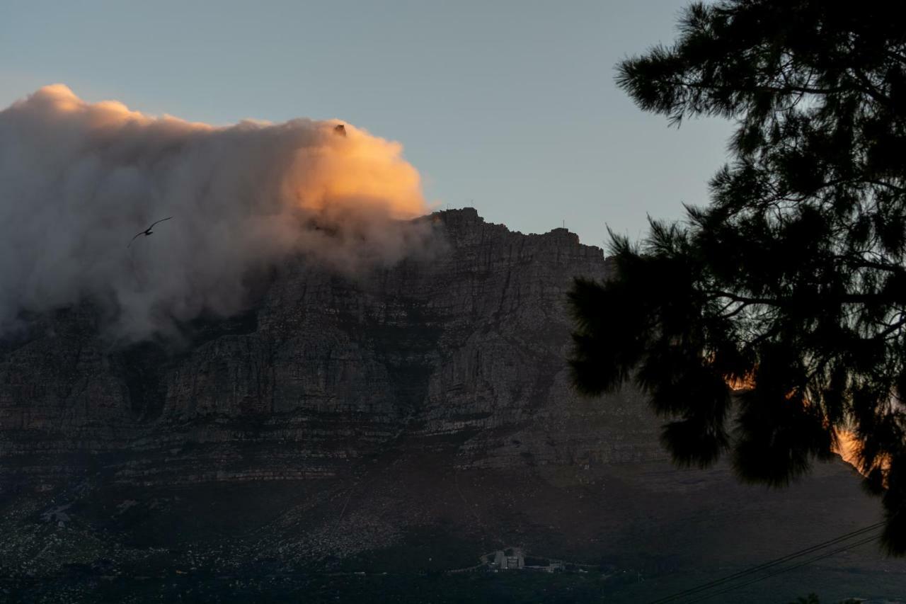 Upperbloem Guesthouse And Apartments Cape Town Eksteriør bilde